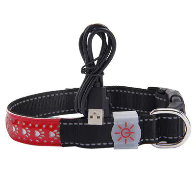 LED Light-Up Pet Collar