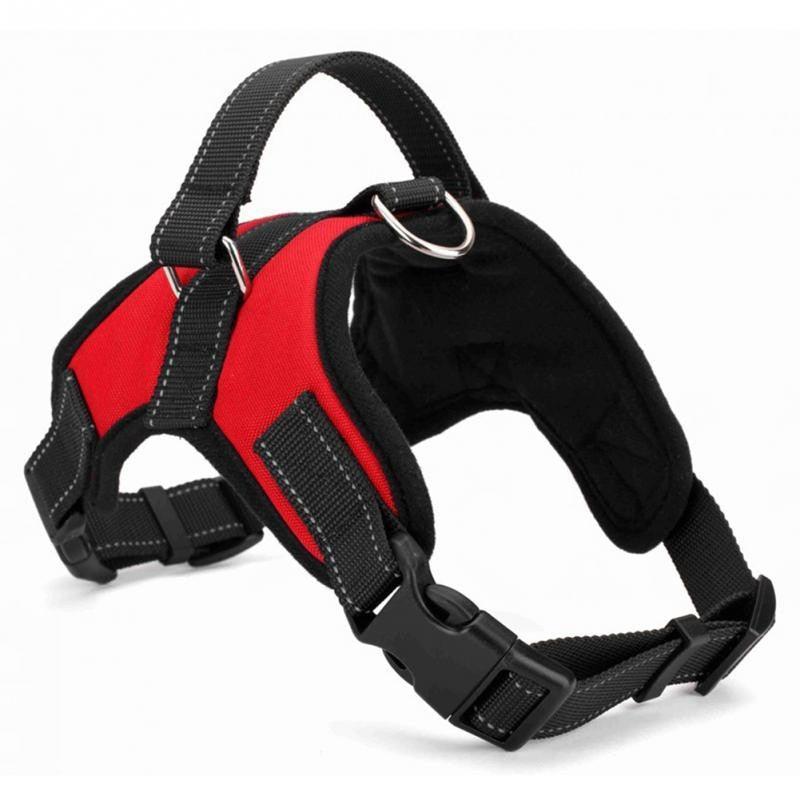 Adjustable Dog Chest Harness With Optional Accessories