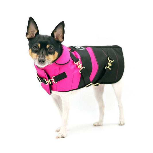 DCNY Equestrian Fuschia Waterproof Dog Coat