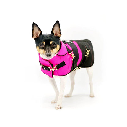 DCNY Equestrian Fuschia Waterproof Dog Coat