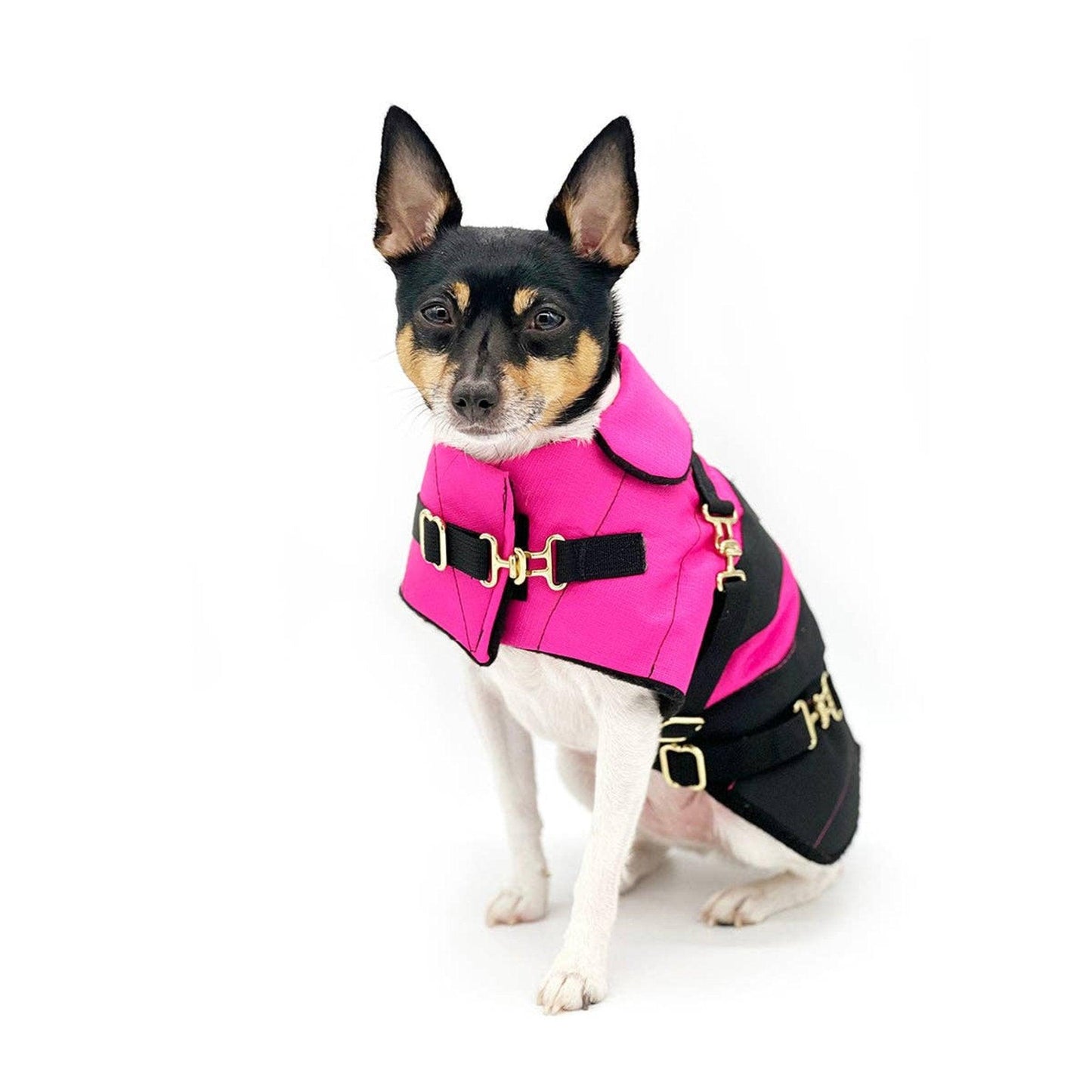DCNY Equestrian Fuschia Waterproof Dog Coat